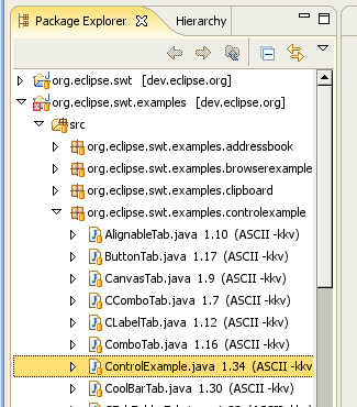 org.eclipse.swt.examples.controlexample.ControlExample in the Package Explorer view