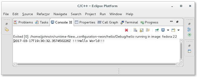 C/C++ Docker Launch Console